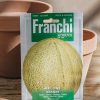 Plants Seeds of Italy Seeds | Franchi Melon 'Ananas' Seeds