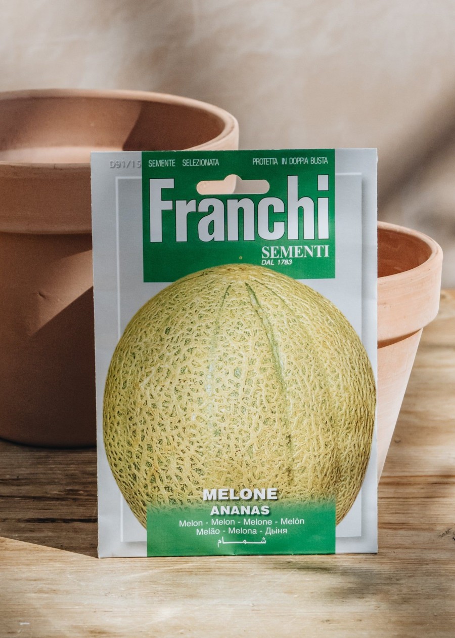 Plants Seeds of Italy Seeds | Franchi Melon 'Ananas' Seeds