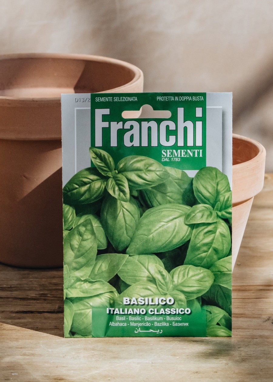 Plants Seeds of Italy Seeds | Franchi Basil 'Classic Italian' Seeds