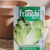 Plants Seeds of Italy Seeds | Franchi Lettuce 'Romain Lentissima A Montare' Seeds