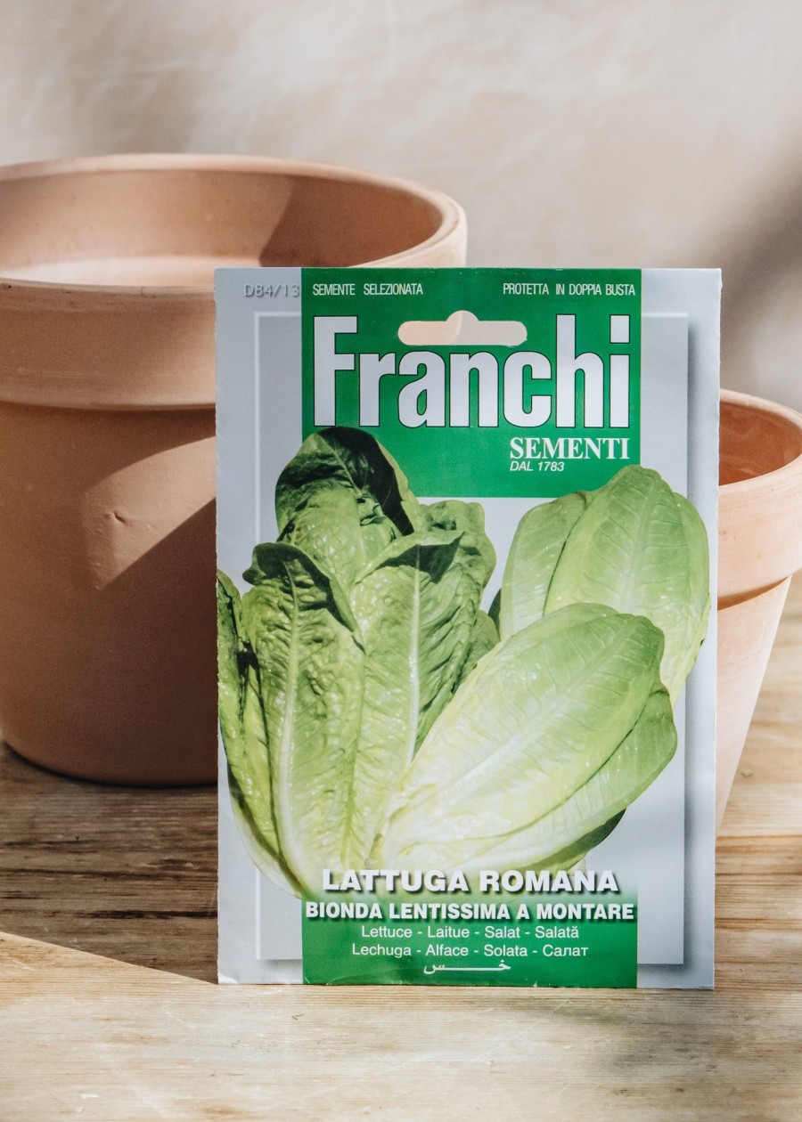 Plants Seeds of Italy Seeds | Franchi Lettuce 'Romain Lentissima A Montare' Seeds