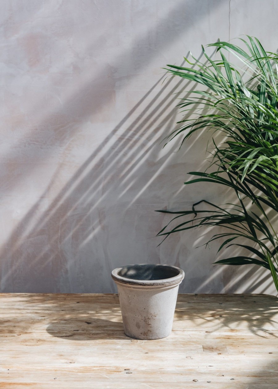 Interiors Bergs Potter Houseplants & Pots | Bergs Potter Flora Grey Pots