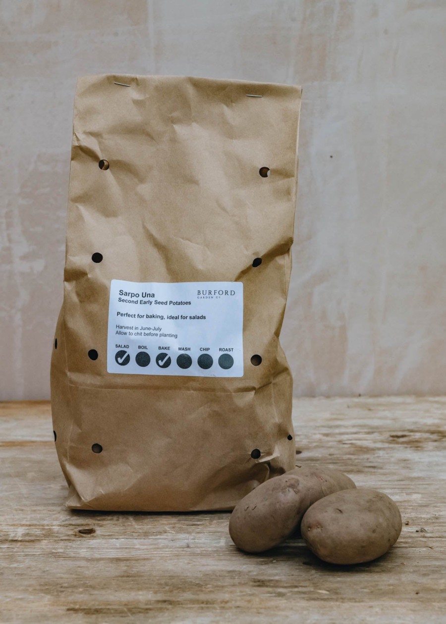 Plants Taylors Bulbs Seed Potatoes | Potato 'Sarpo Una'