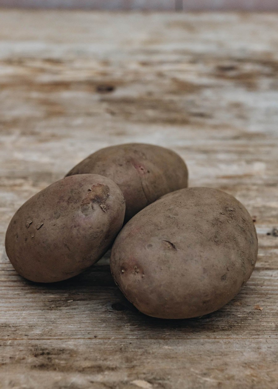 Plants Taylors Bulbs Seed Potatoes | Potato 'Sarpo Una'