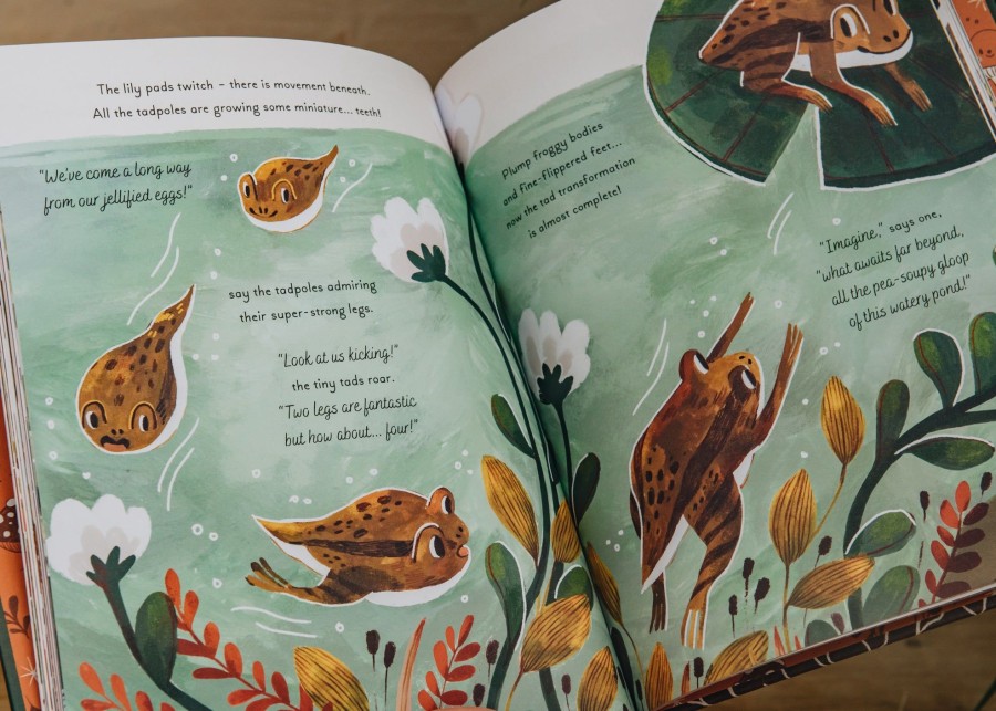 Children Children's Books Books | Five Minute Nature Stories