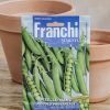 Plants Seeds of Italy Seeds | Franchi Pea 'Dwarf' Seeds