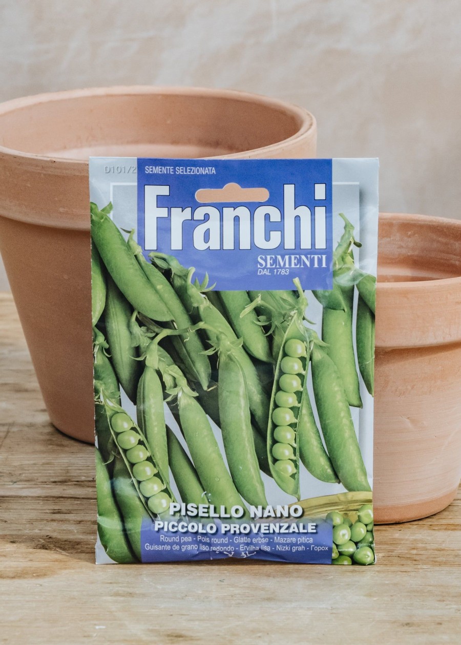 Plants Seeds of Italy Seeds | Franchi Pea 'Dwarf' Seeds