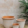 Interiors Bergs Potter Houseplants & Pots | Bergs Potter Flora Rosa Pot