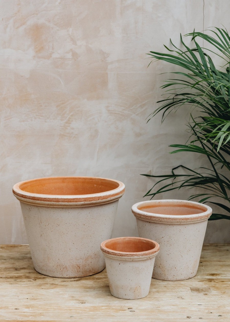 Interiors Bergs Potter Houseplants & Pots | Bergs Potter Flora Rosa Pot