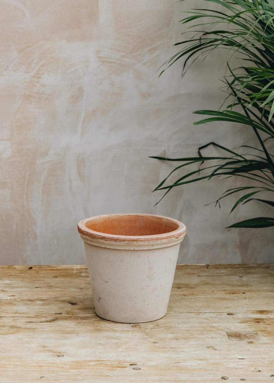 Interiors Bergs Potter Houseplants & Pots | Bergs Potter Flora Rosa Pot