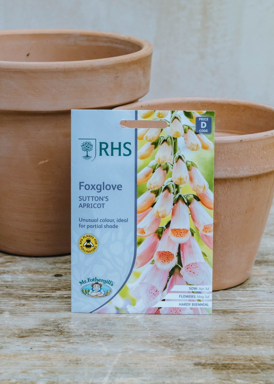 Plants Mr Fothergills Seeds | Foxglove Sutton'S Apricot Seeds