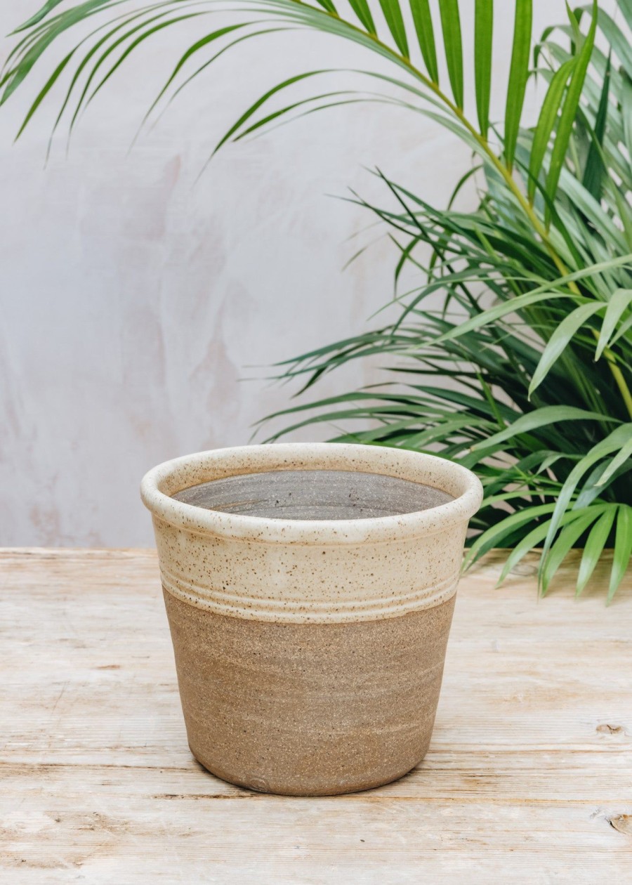 Plants Hook Norton Pottery Pots & Planters | Burford Design Small Pot Cover