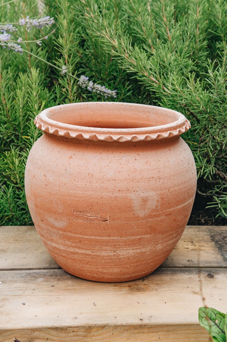 Gardening Garden Service Ltd Pots & Planters | Palla Imprunetta Terracotta Pot 30Cm