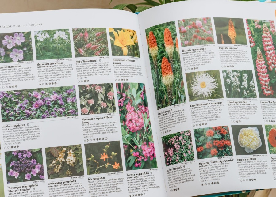 Books Gardening Books Garden & Plants Books | What Plant Where