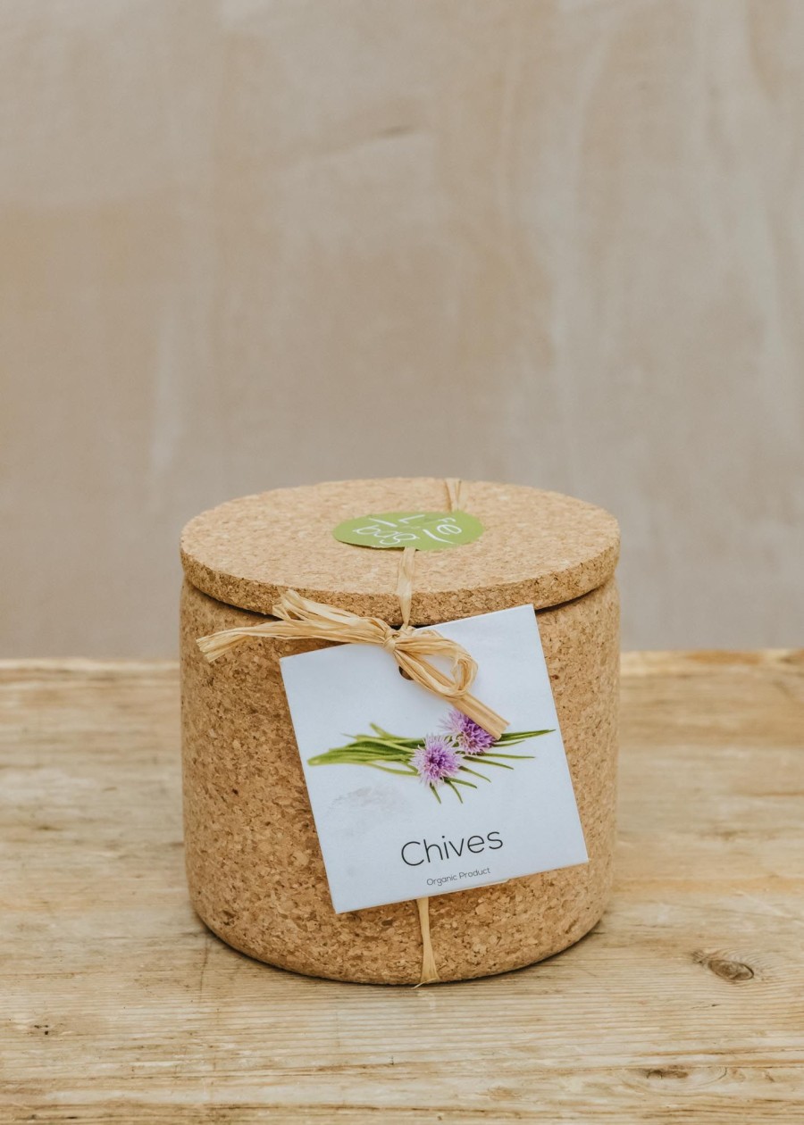 Plants Life in a Bag Seed Gift Sets | Chives Grow Cork Pot