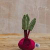 Children Jellycat Soft Toys | Jellycat Vivacious Veg Beetroot