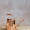 Gardening Implementations Houseplant Care | Dorado Copper Watering Can