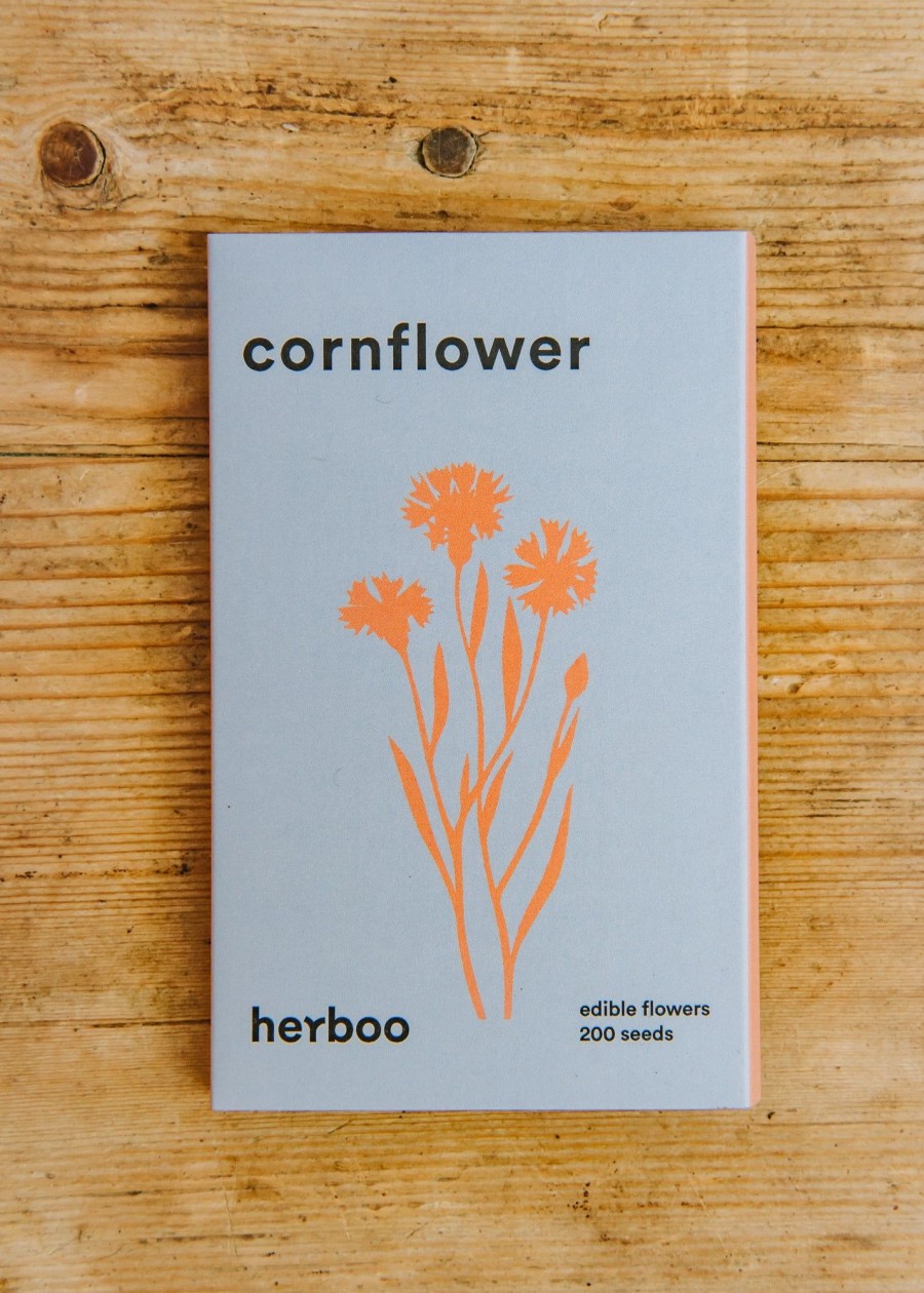 Plants Herboo Seeds Seeds | Cornflower Viking King Seeds