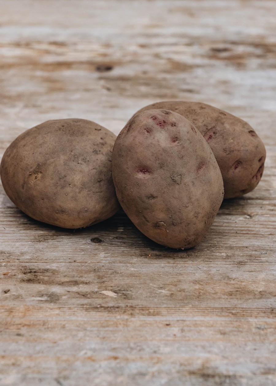 Plants Taylors Bulbs Seed Potatoes | Potato 'Cara'