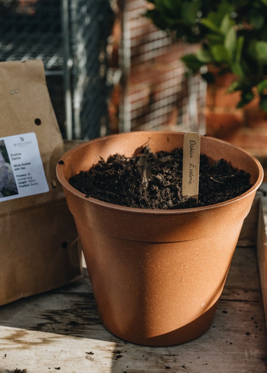 Gardening Haxnicks Grow Your Own | Terracotta Bamboo Nursery Pot, 8"