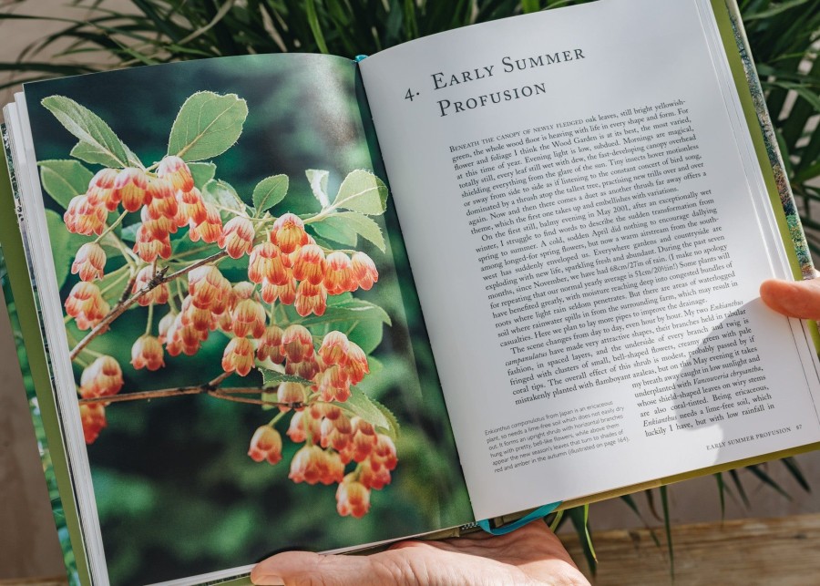 Books Garden and Plants Books Garden & Plants Books | Beth Chatto'S Shade Garden