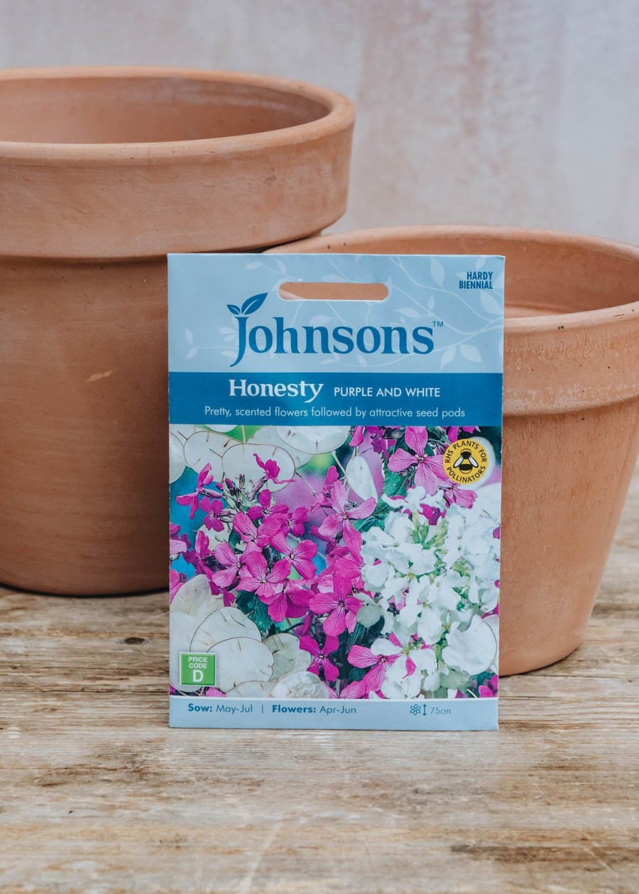 Plants Johnsons Seeds | Honesty Purple And White Seeds