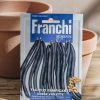 Plants Seeds of Italy Seeds | Franchi Climbing Bean 'Trionfo Violetto' Seeds