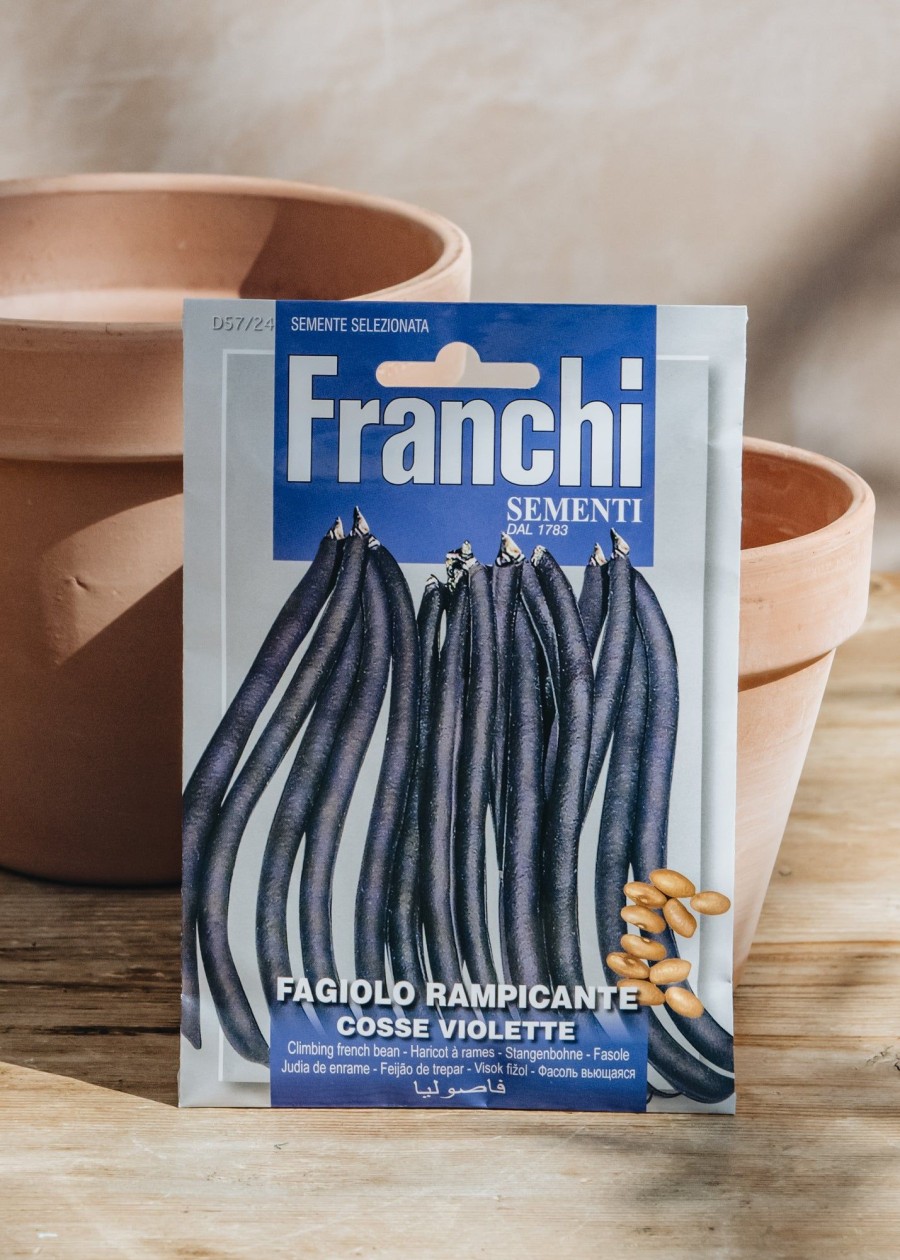 Plants Seeds of Italy Seeds | Franchi Climbing Bean 'Trionfo Violetto' Seeds