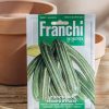 Plants Seeds of Italy Seeds | Franchi Courgette 'Striato D'Italia' Seeds