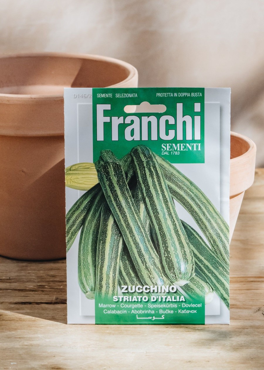 Plants Seeds of Italy Seeds | Franchi Courgette 'Striato D'Italia' Seeds