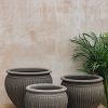 Interiors Bergs Potter Houseplants & Pots | Piccolina Grey Pot