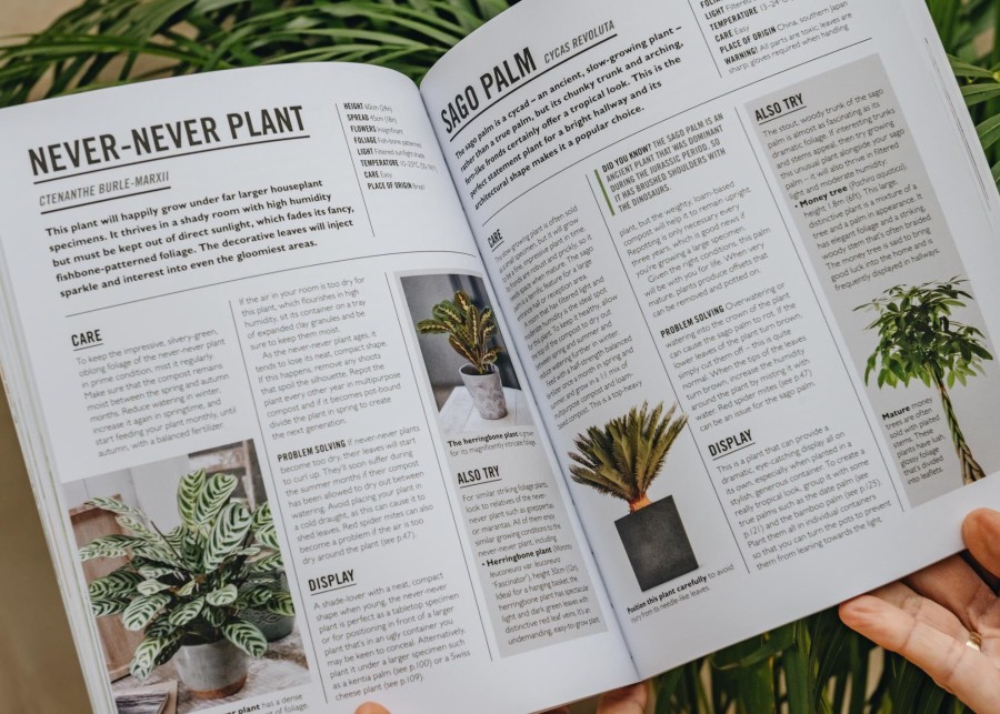 Books Garden and Plants Books Garden & Plants Books | Grow: Houseplants Book