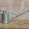 Gardening Haws Grow Your Own | Warley Zinc Watering Can