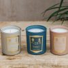 Interiors Floris Candles & Fragrance | Floris Mini Candle Collection