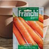 Plants Seeds of Italy Seeds | Franchi Carrot 'Nantese Di Chiogga' Seeds