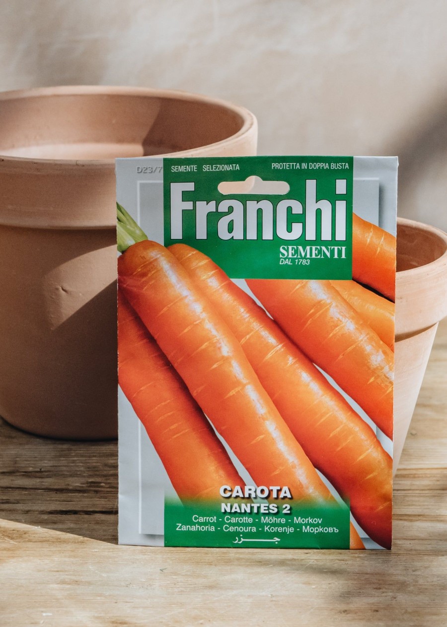 Plants Seeds of Italy Seeds | Franchi Carrot 'Nantese Di Chiogga' Seeds