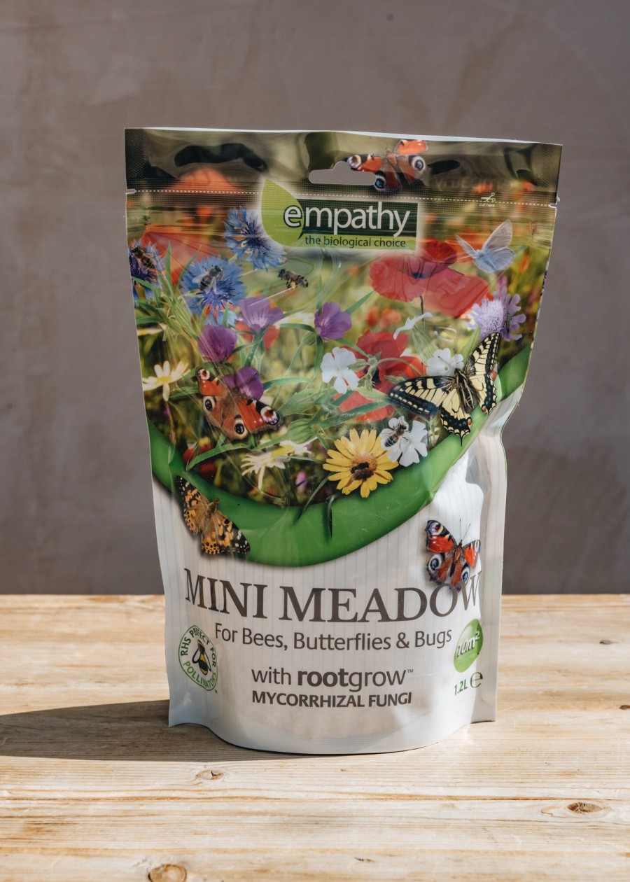 Plants Empathy Seeds | Mini Meadow Easy Sow Seed, Ten Square Metres