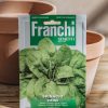 Plants Seeds of Italy Seeds | Franchi Spinach 'Viking' Seeds