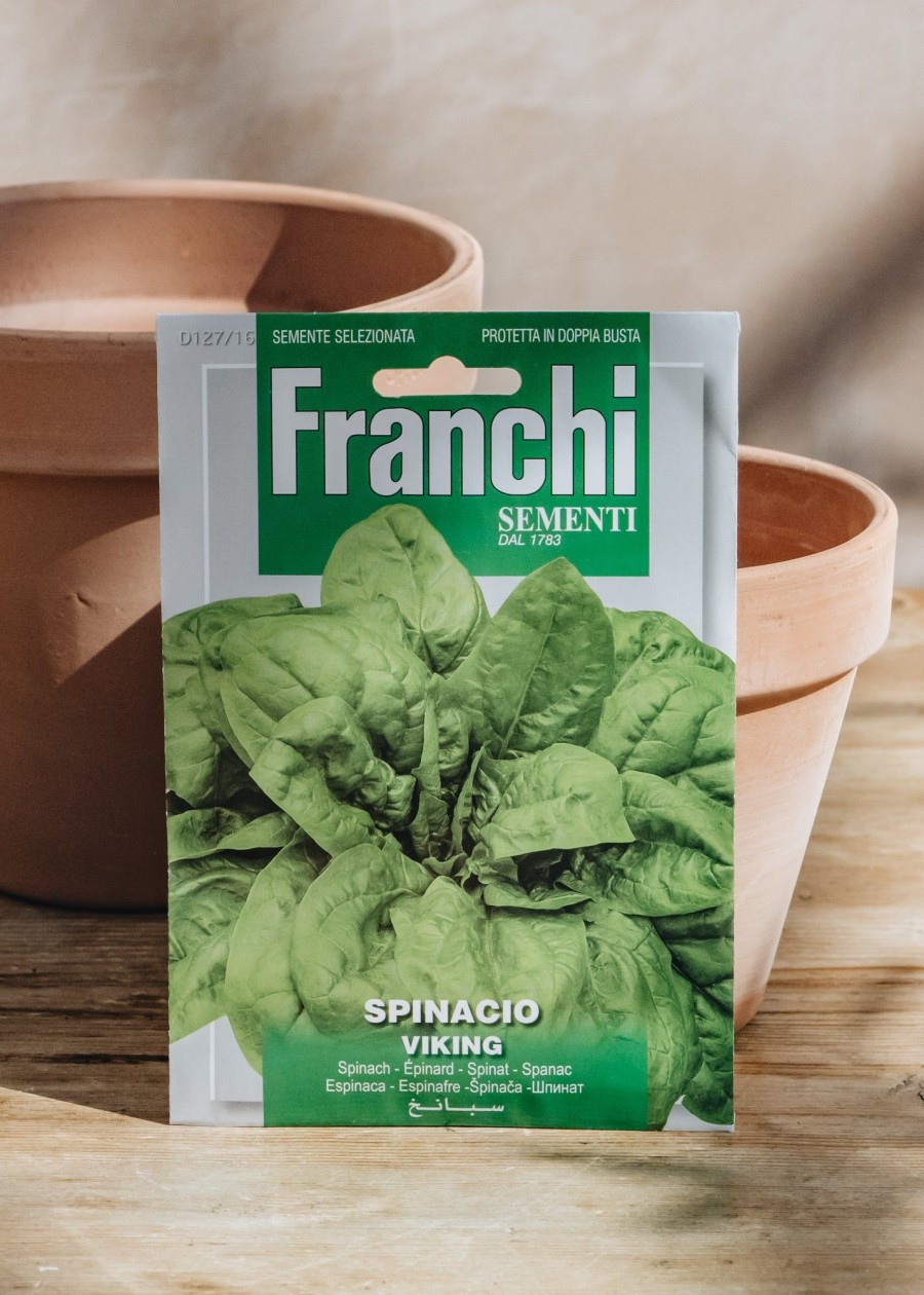 Plants Seeds of Italy Seeds | Franchi Spinach 'Viking' Seeds