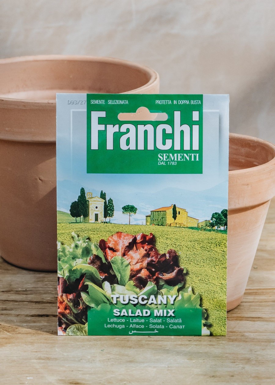 Plants Seeds of Italy Seeds | Franchi Salad, Tuscan Mix Seeds