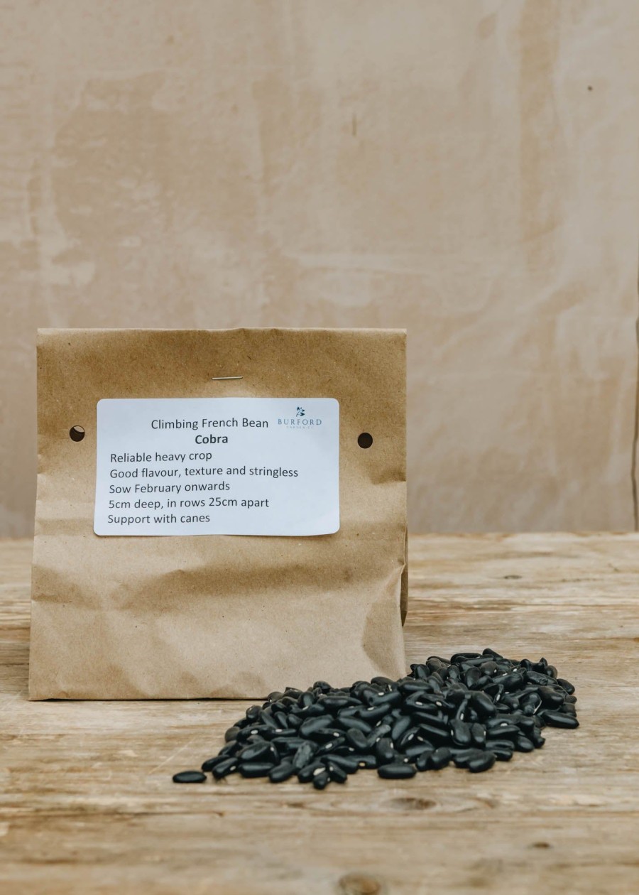 Plants Moles Seeds Pea & Bean Seeds | French Climbing Bean 'Cobra' Seeds, 100G