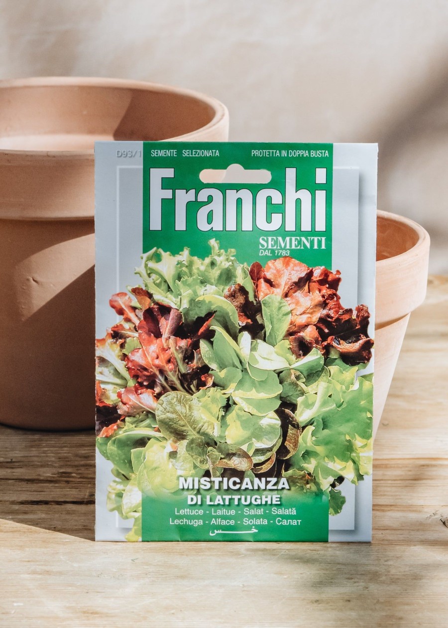 Plants Seeds of Italy Seeds | Franchi Lettuce, Mixed Seeds