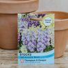 Plants Thompson & Morgan New In | Stocks T&M Brompton Mixed Seeds