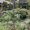 Gardening Munton's Traditional Plant Supports Plant Supports | Medium Abinger Obelisk