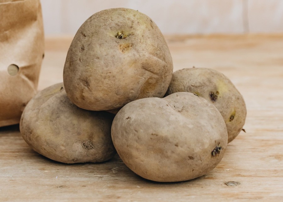 Plants Taylors Seed Potatoes | Potato 'Pentland Javelin'