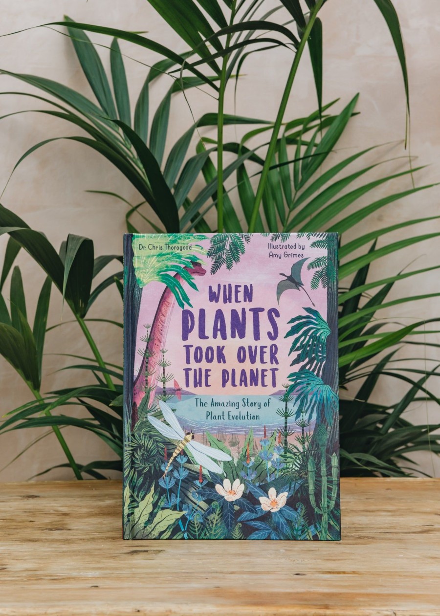 Children Children's Books Books | Buy When Plants Took Over The Planet