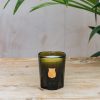 Interiors Trudon Candles & Fragrance | Cire Trudon La Petite Candle In Odalisque