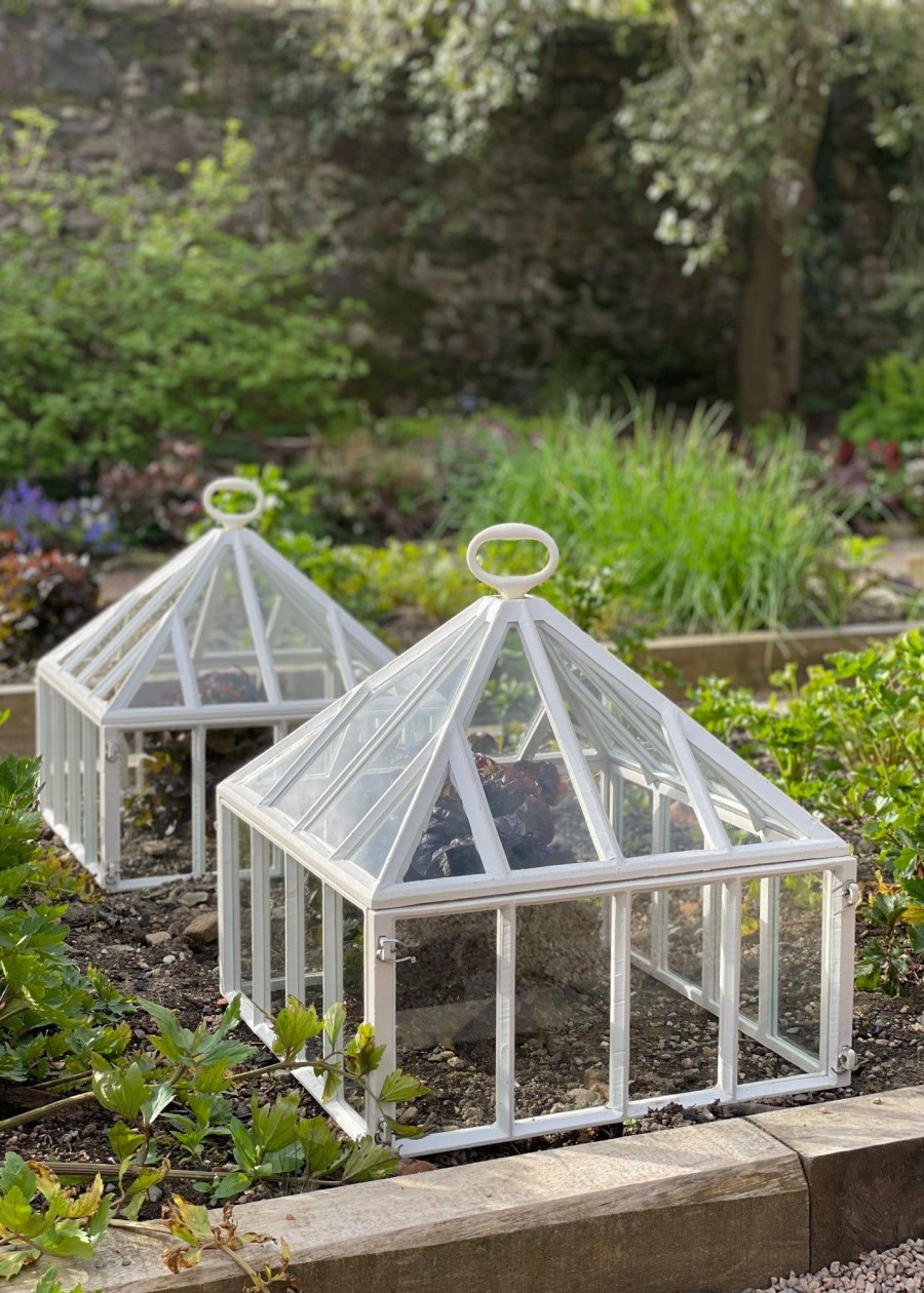 Gardening Claverton Cloches Greenhouses & Cloches | Victorian Garden Cloche