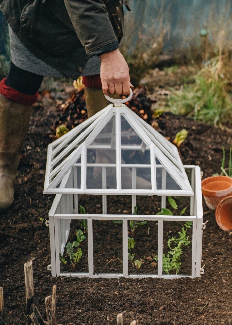 Gardening Claverton Cloches Greenhouses & Cloches | Victorian Garden Cloche