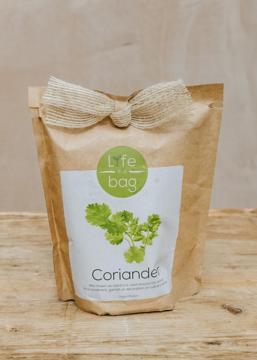 Plants Life in a Bag Seed Gift Sets | Life In A Bag Coriander Grow Bag